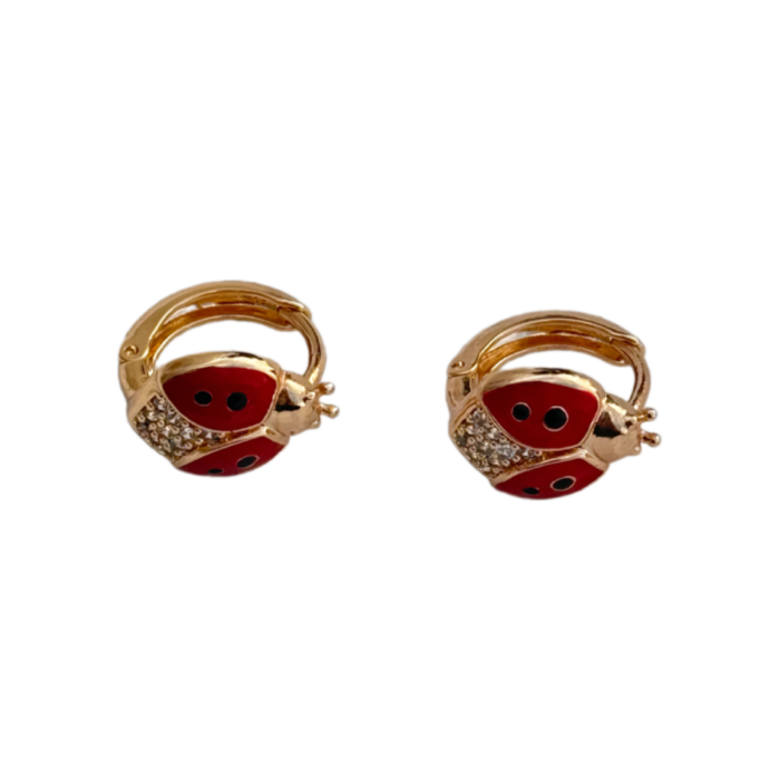 plug earrings